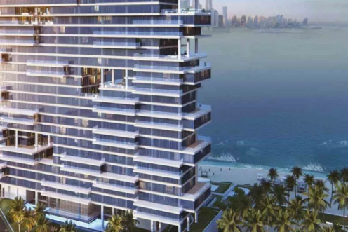 one palm pic 2 768x512 1